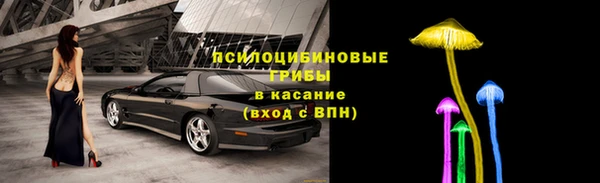 мет Баксан
